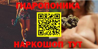 гидра Краснокаменск