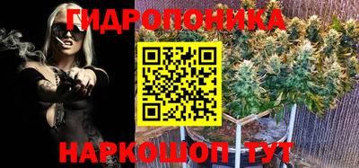 ГАЛЛЮЦИНОГЕННЫЕ ГРИБЫ Краснознаменск