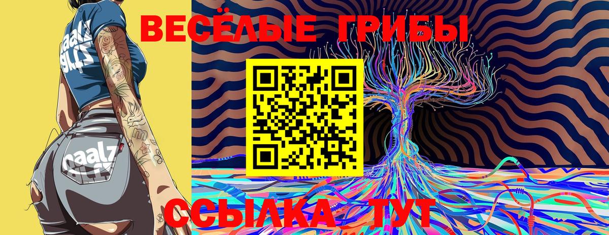 Псилоцибиновые грибы Psilocybine cubensis  Галлюциногенные грибы Cubensis  сколько стоит  Дубна  Вход с VPN 